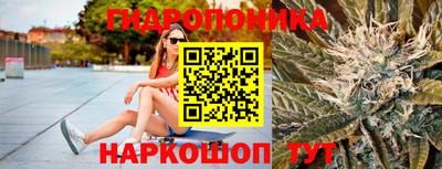 дурь Гагарин