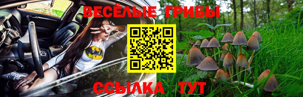 Псилоцибиновые грибы мицелий Дзержинский